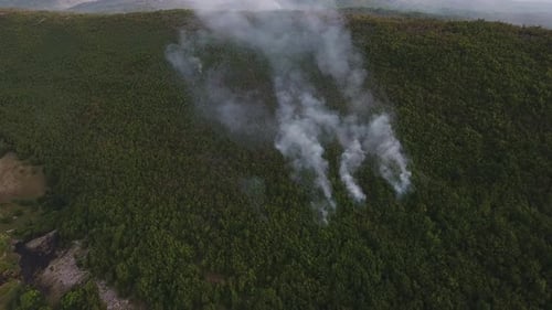 Fire Starting In Forest