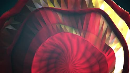 cinematic opener animation