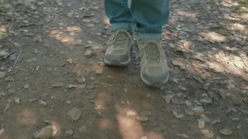 Person Walking on Rocky Hiking Trail