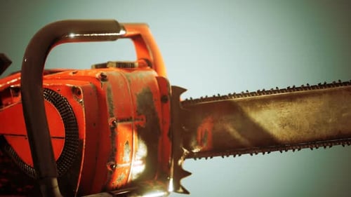 Small Professional Chain Saw