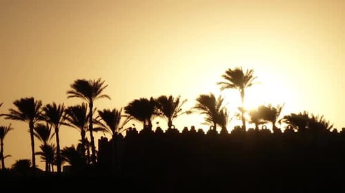 Sonnenuntergang am Strand Rund um den Ozean und Palmen. Zeitraffer