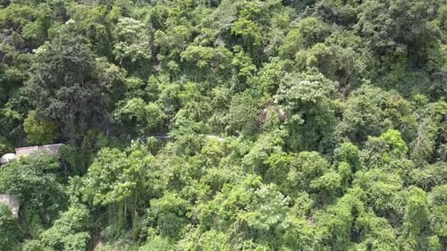 Asiatische Gebäude versteckt im Dschungel aus der Vogelperspektive