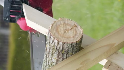 Cutting Wood with Saw in the Daytime