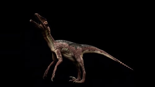 Utahraptor Dinosaur