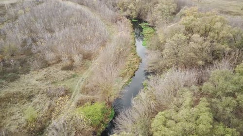 Aerial View of Beautiful Landscape of River Flowing Between Trees