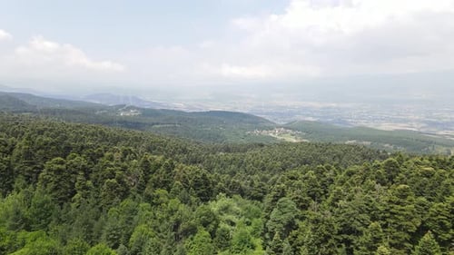 Mountain Forest Drone