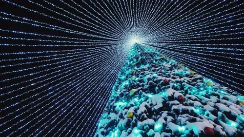 Low Angle View of Lights of a Tall Christmas Tree