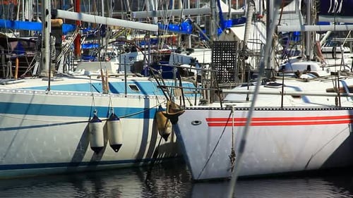 Some Yachts in the Marina