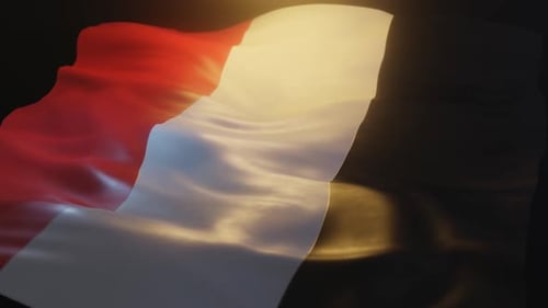 Dynamic Realistic Waving Flag Background Loop