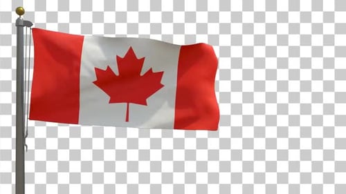 Seamless Looping Waving Canada Flag On Alpha
