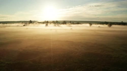 Beautiful Misty Dawn in the Spring on the River