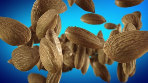 Organic Almonds Falling and Floating in Slow Motion
