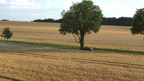 Convertible Car Driving On Countryside Road.