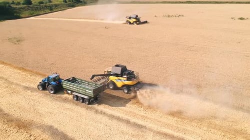 Harvesters Collect Crops in Rural Agricultural Field