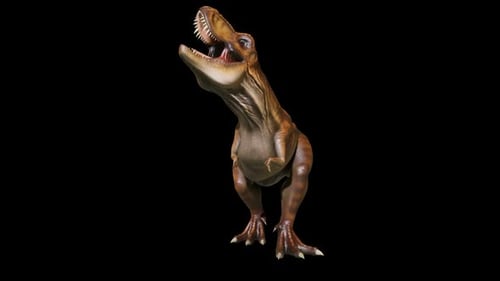 Realistic 3D Tyrannosaurus Rex Roaring Alpha Channel Animation