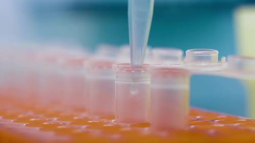 Close Up of Pipette Filling Vials in Lab
