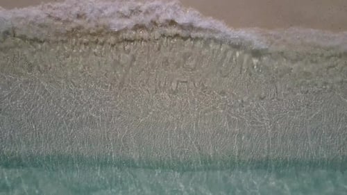 Exotic coast beach adventure by aqua blue ocean and white sandy background near palms