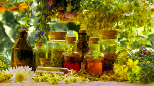 Bottles and Jars Filled with Herbs and Liquids