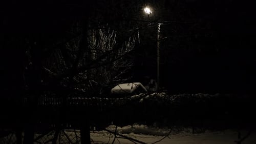 Snowy Night Scene with Lamp Post