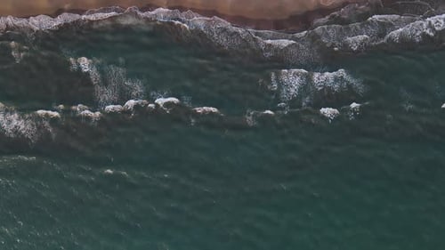 Foamy Waves