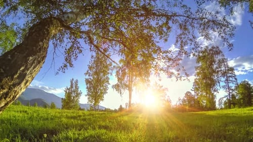 Mountain Meadow Timelapse at the Summer or Autumn Time