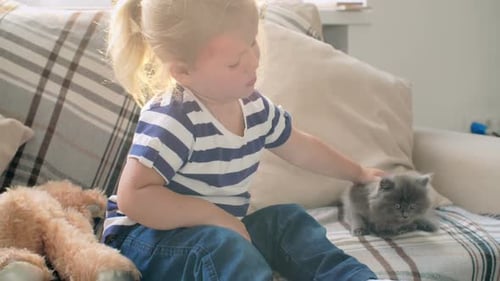 Cute Cat Lover