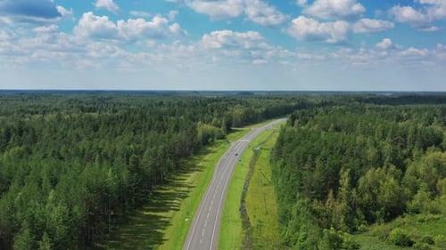 Aerial Top View on Country Road in Forest