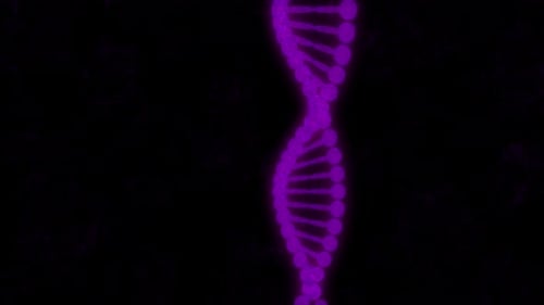 Futuristic Rotating Purple DNA Double Helix Animation