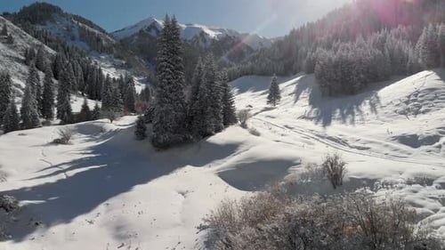 Snowy Mountain Forest Aerial View
