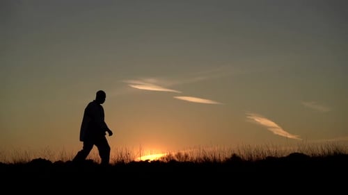 Silhouette of Martial Artist Training at Sunset