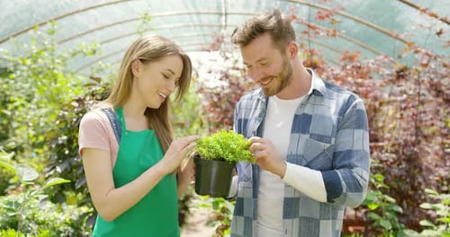 Couple Gardening in Tropical Greenhouse Inspecting Plant