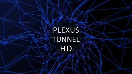 Plexus Tunnel