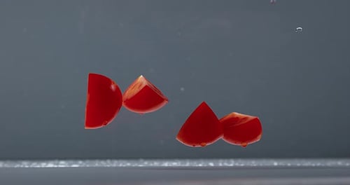 Tomatoes, solanum lycopersicum, Fruits Falling on Water, Slow Motion 4K
