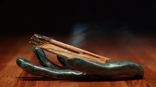 Aromatherapy Burning Incense Stick Closeup