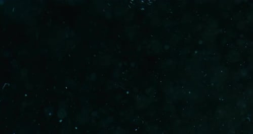 Blaue Blasen steigen durch Wasser vor schwarzem Hintergrund