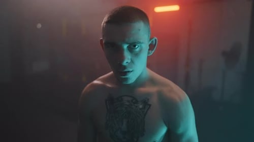 Boxer Gaze