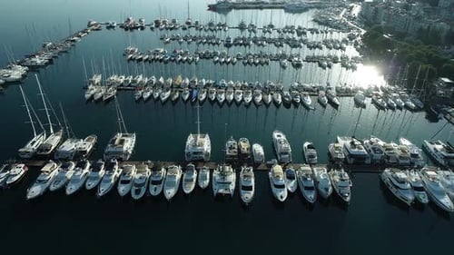 Luxury Yacht Marina