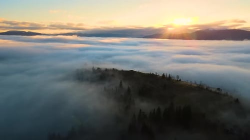 Aerial view of colorful landscape above foggy forest with pine trees covering mountain hills