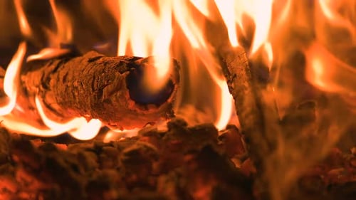 Camp Fire