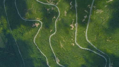 Mountain Forest Road