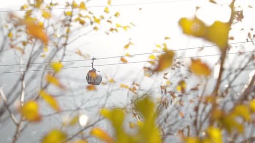 Cable Car Ascending Mountain in Autumn Setting