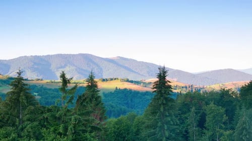 Mountains and Forest at Sunrise