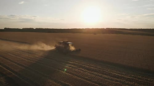 Une
moissonneuse-batteuse avec vue aérienne recueille la récolte de blé. Ciseaux pour la récolte du blé. Combine sur le terrain