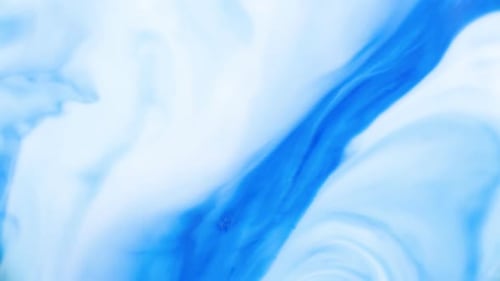 Paint
