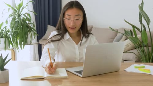 Woman Works at Desk with Laptop and Notebook