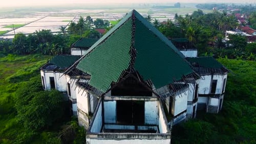 Aerial, Tilt up, Drone Shot, above on abandoned farmhouse surrounded by paddy rice field,