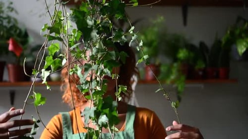 Beautiful Woman Gardener Takes Care of Plant and Poses at Home Room Spbd