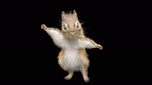 Chipmunk Tanzen 4K