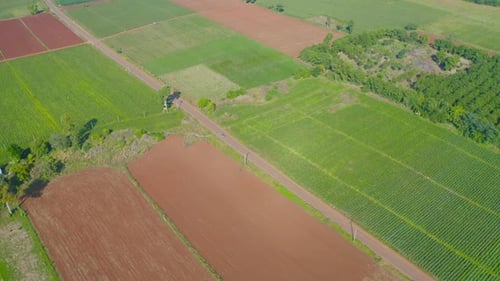 Aerial top view of fresh grass, rice and crops field with green mountain hill in agriculture