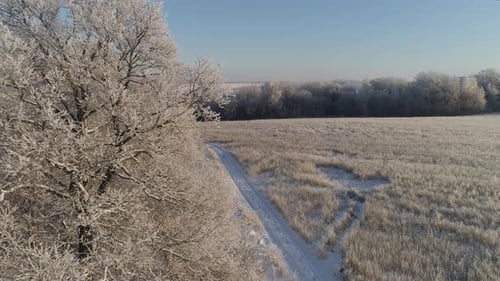 Winter Landscape in Countryside